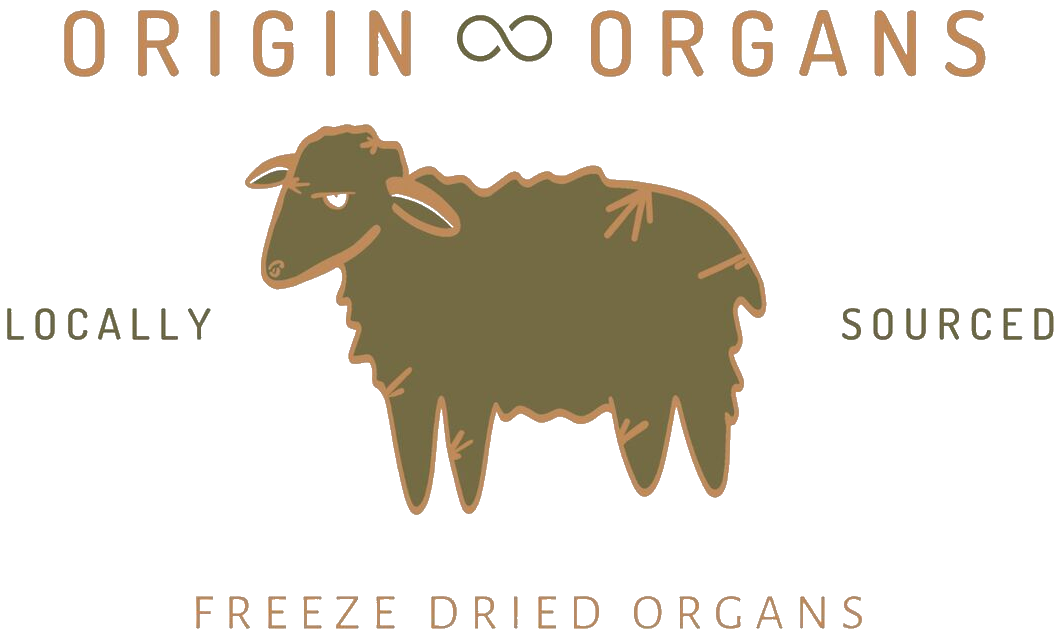 Origin Organs